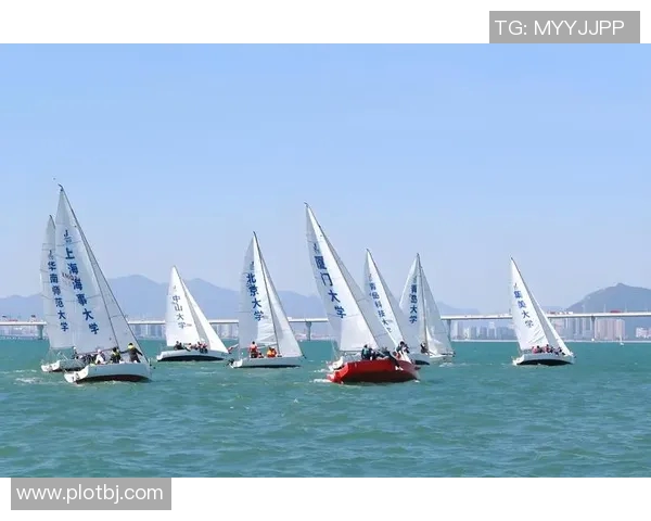 竞技体育的定义、发展历程与全球影响力分析