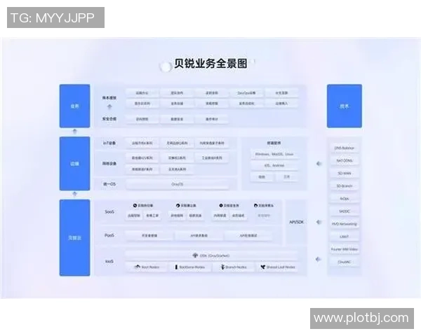 南京排球队运营解析：从管理模式到市场推广的全景观察