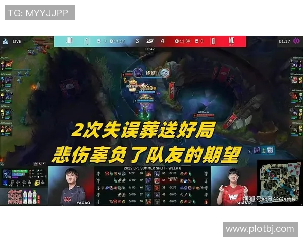 赛后分析：JDG与WE团队协作的成功与不足之处探讨