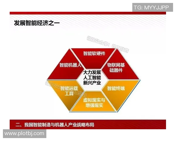 南京羽毛球队运营分析与发展策略探讨：得失经验分享与未来展望